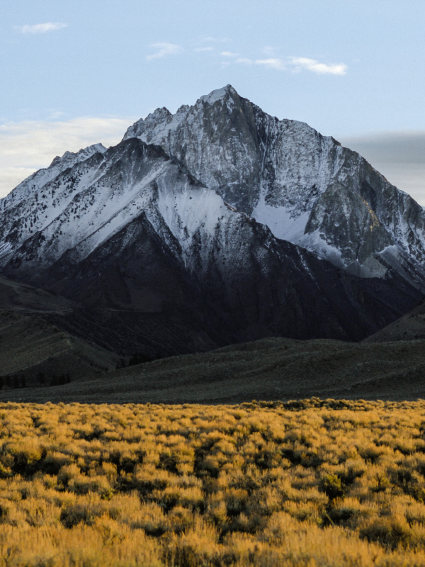 Test création article